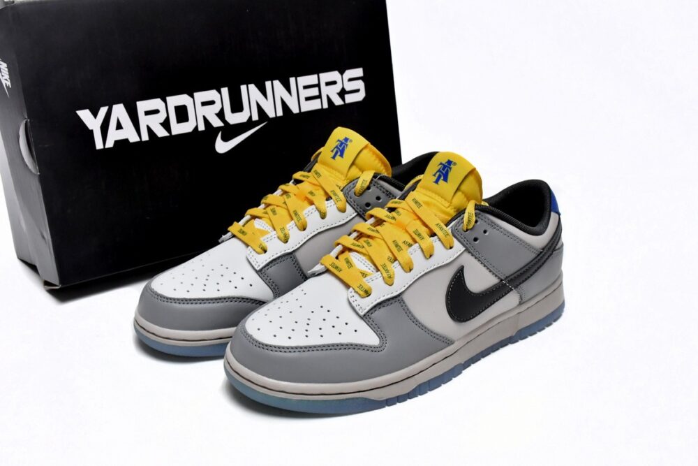 Nike Dunk Low “North Carolina A&T”